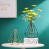 Aashralya™ Hexgon Shaped Metal Wire Glass Tube Vase for Home Decor (Pack of 1) (Black) - Image 2