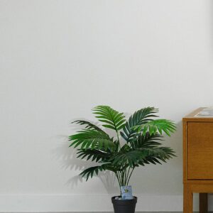 Alternative view of Blooming Floret Artificial Areca Palm for Home Decor/Office Decor/Gifting | Attractive Ornamental Plant | 12 Leaves | with Pot | Natural Looking Indoor Plant
