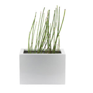 Alternative view of Auriga White FRP Planter