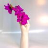 Hand Me The Flowers - Image 2